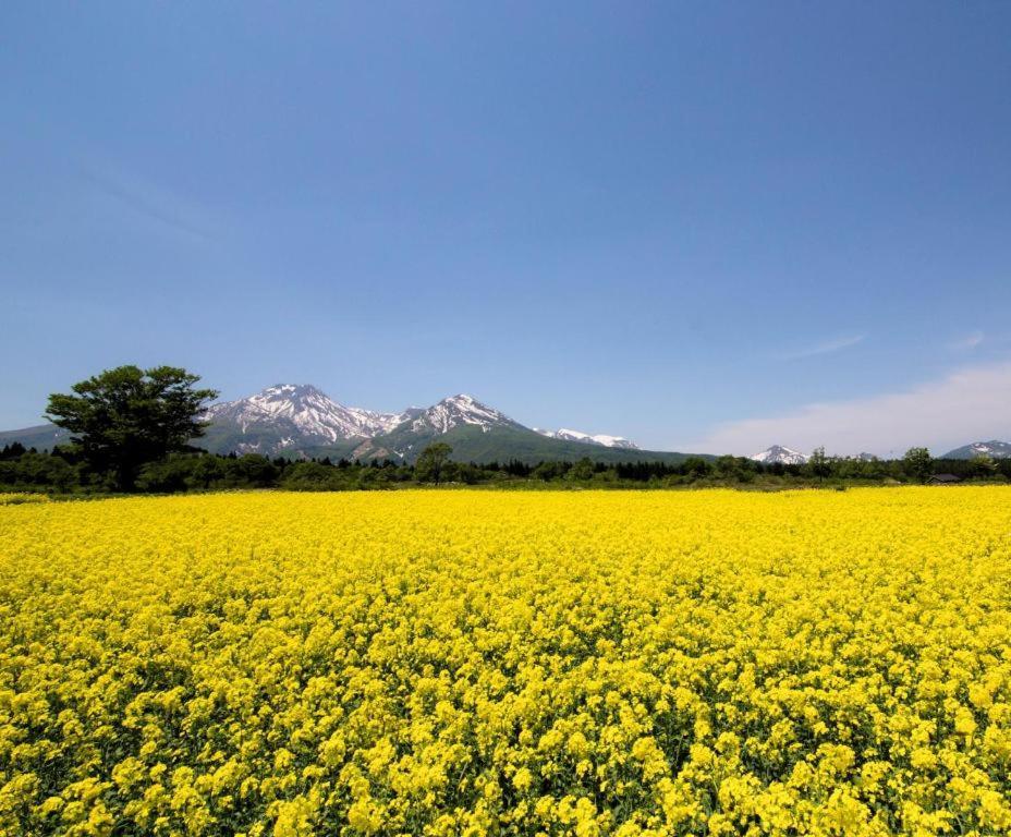 Akakura Park Hotel เมียวโกะ ภายนอก รูปภาพ